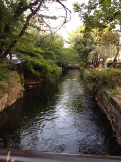 ryokudou.gif