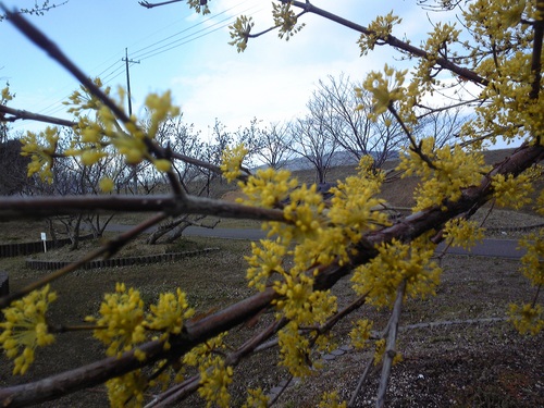 20120325-3.jpg