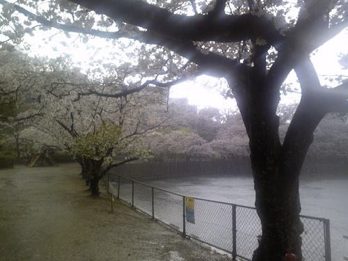 20120411-2.jpg