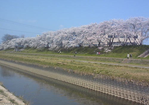 20120412-1.jpg