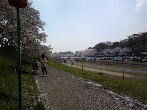 20120412-2.jpg