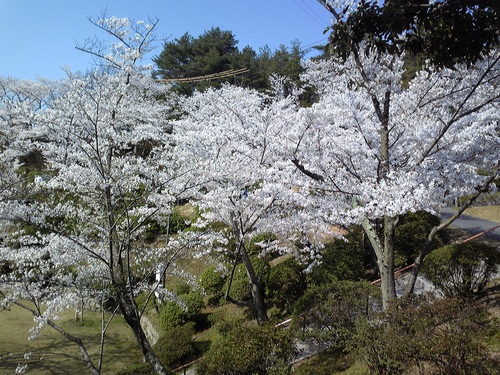 20120412-4.jpg