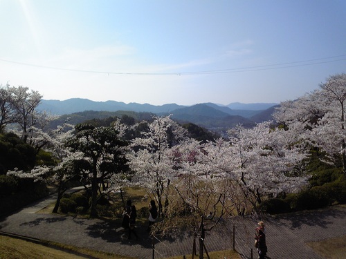 20120412-5.jpg