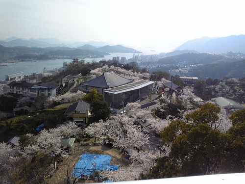 20120412-6.jpg