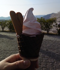 20120412-8.jpg