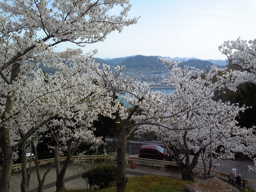 20120412-9.jpg