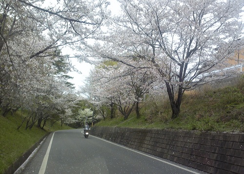 20120413-1.jpg