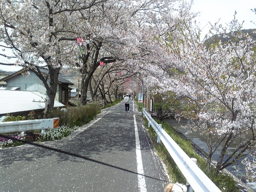 20120415-1.jpg