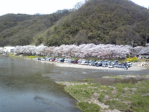 20120415-2.jpg