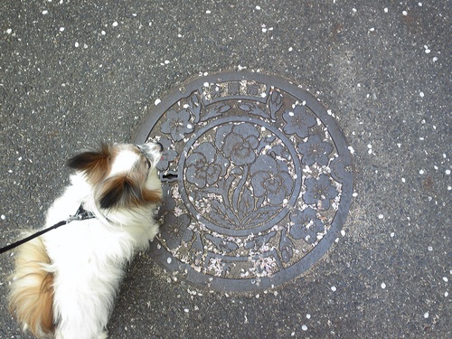 20120415-5.jpg