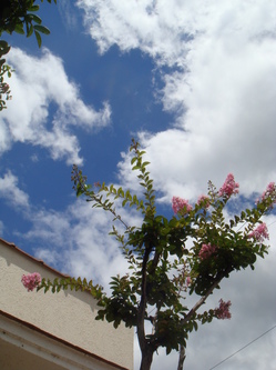 DSC04868.JPG