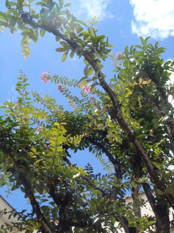 DSC04869.JPG