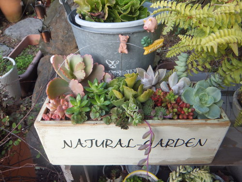 DSCF3544.JPG