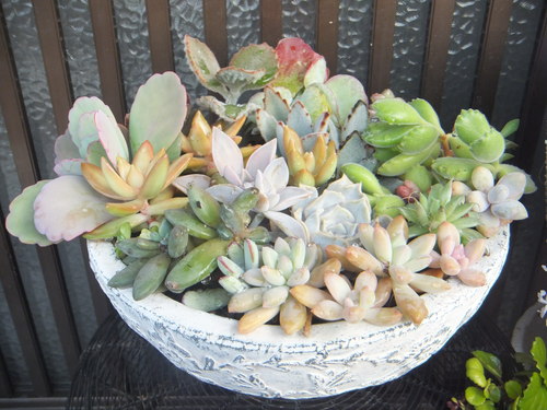 DSCF3545.JPG