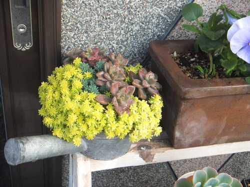 DSCF3546.JPG
