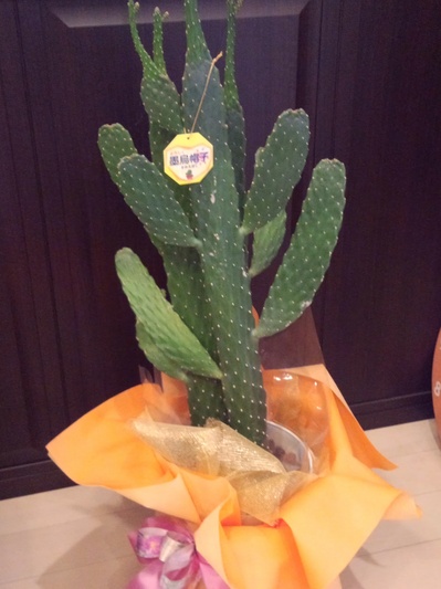 i_2013050207063135.jpg