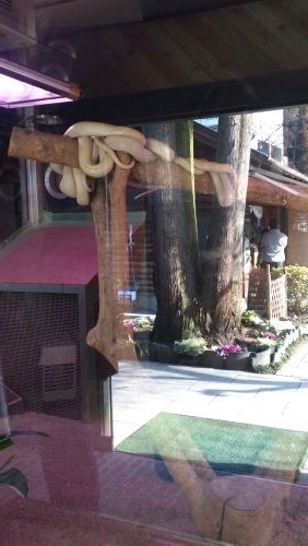 i_2013021421305057.jpg