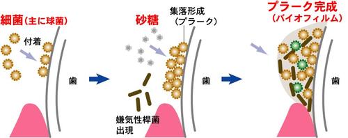 201803_1.jpg