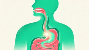 口から食道、腸まで一本のトンネルでつながり、光の流れが行き交う人体のイラスト